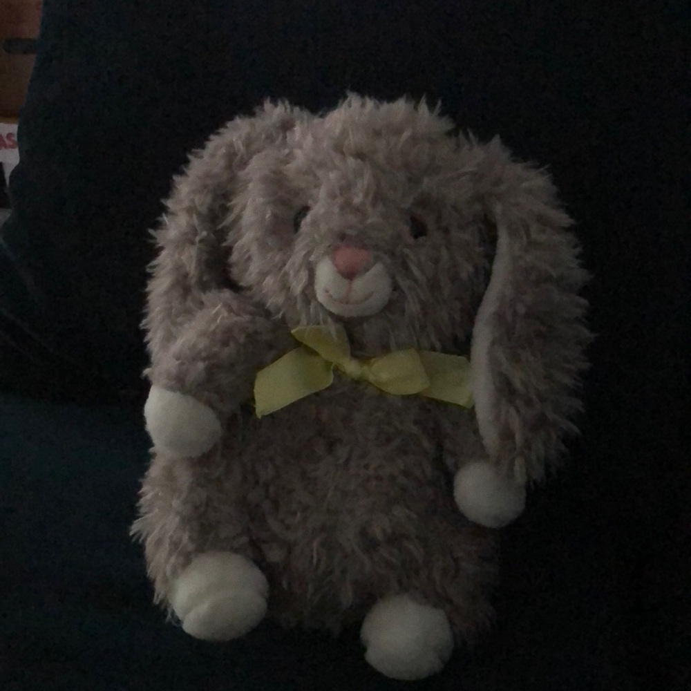 Cute bunny
